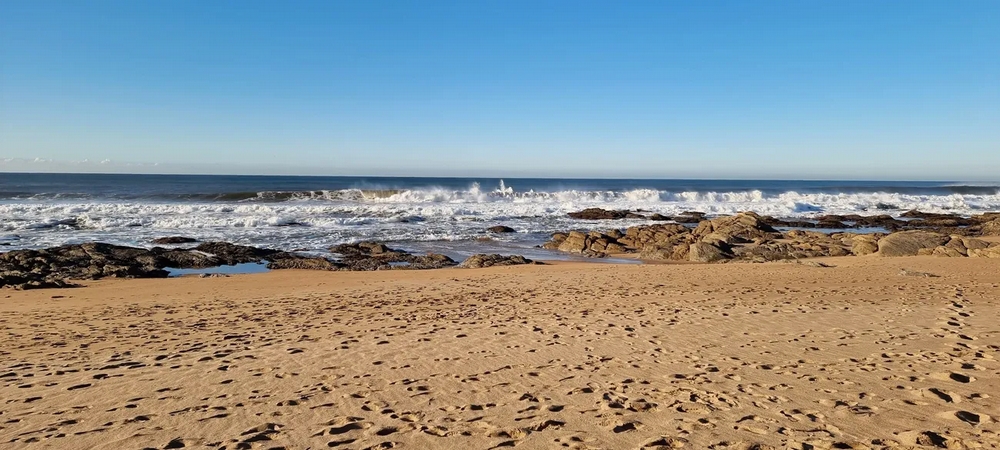 Seagulls Beach House